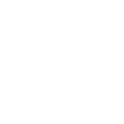 BNMC_Logo_White copy-3